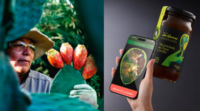 A woman picks cactus fruit. A phone scans the finished cactus jam product,.
